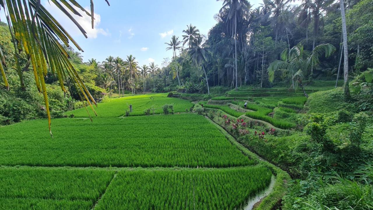 Tirta Sari Villa Tampaksiring Exteriör bild