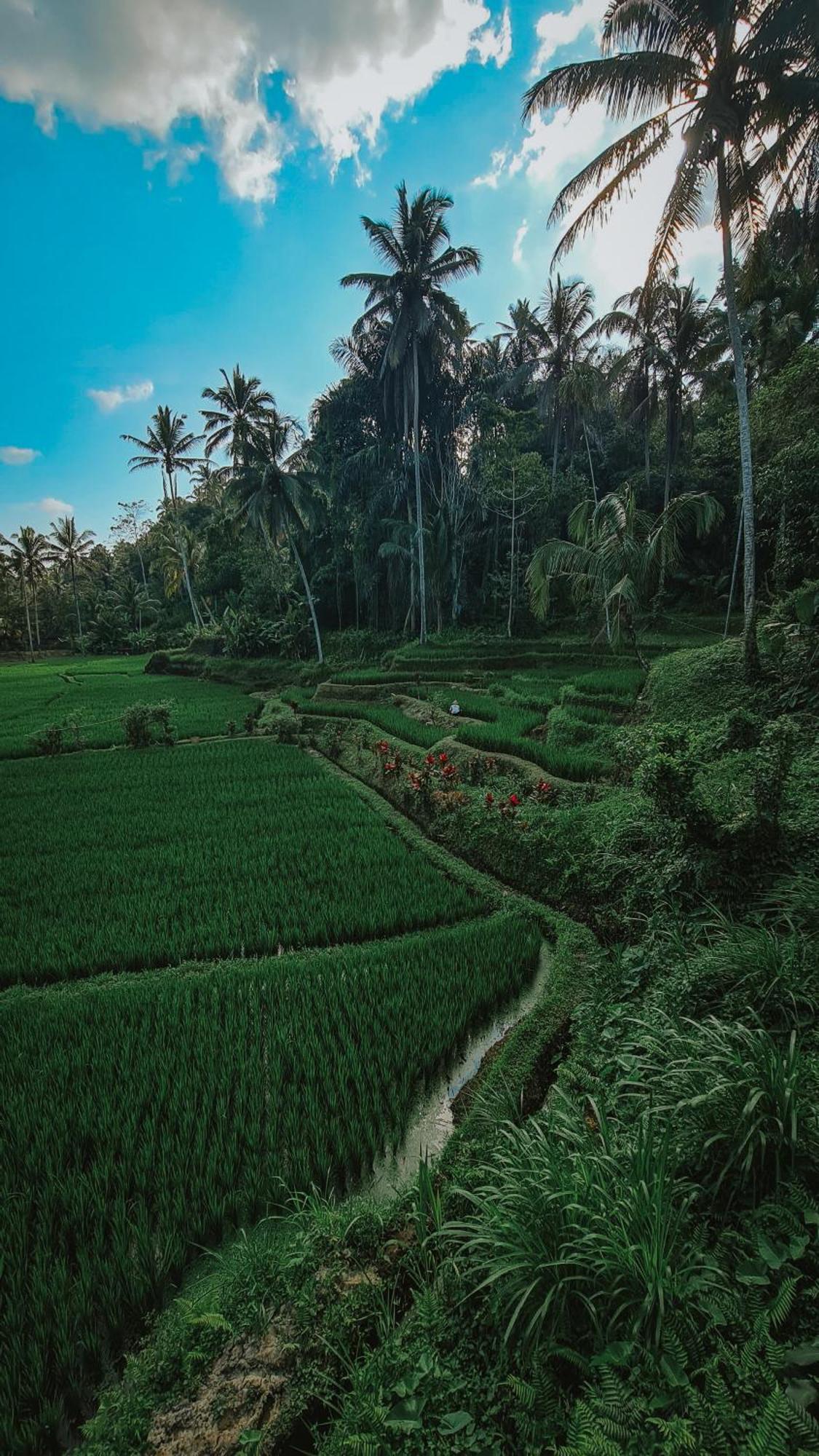 Tirta Sari Villa Tampaksiring Exteriör bild