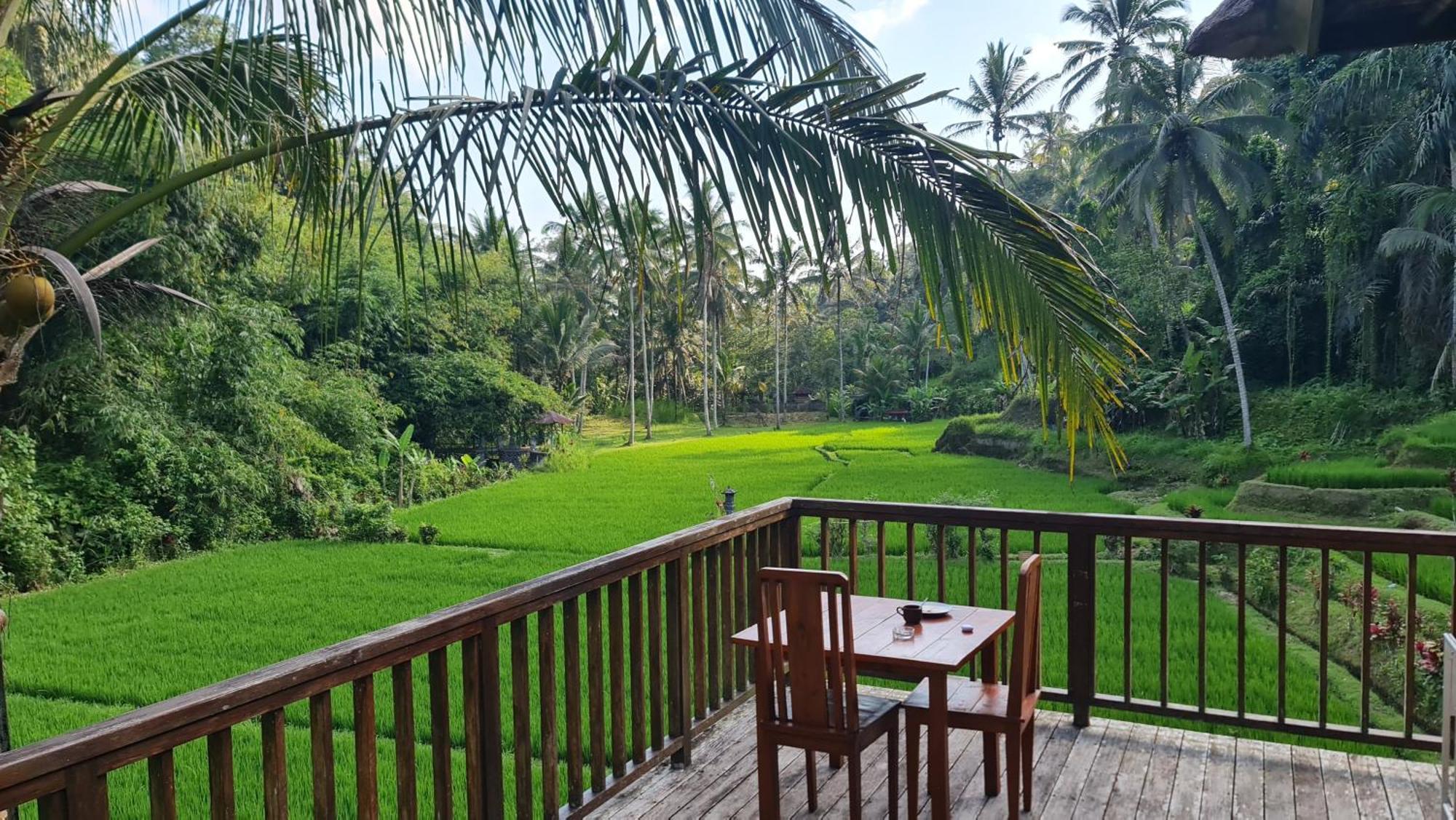 Tirta Sari Villa Tampaksiring Exteriör bild