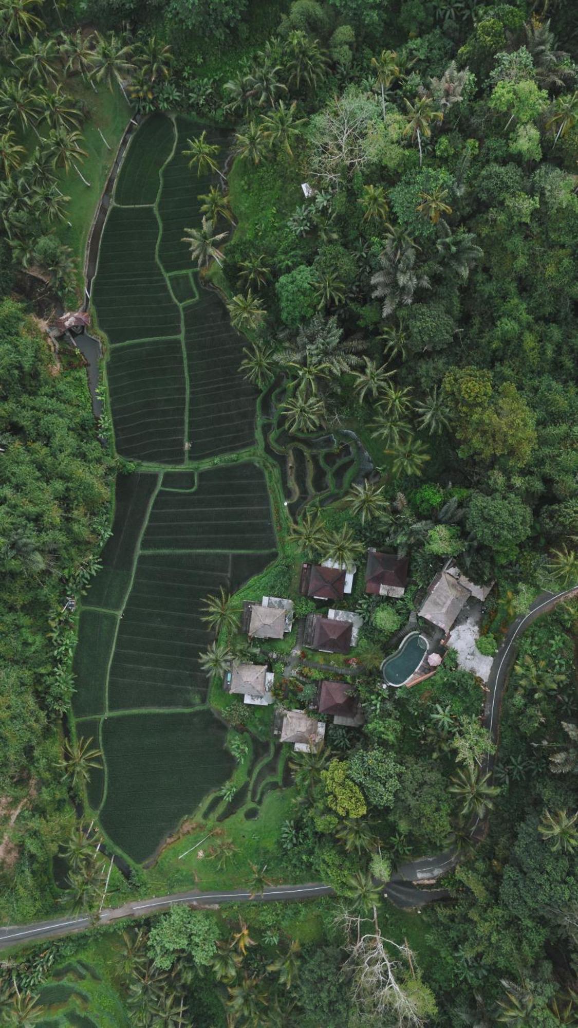 Tirta Sari Villa Tampaksiring Exteriör bild
